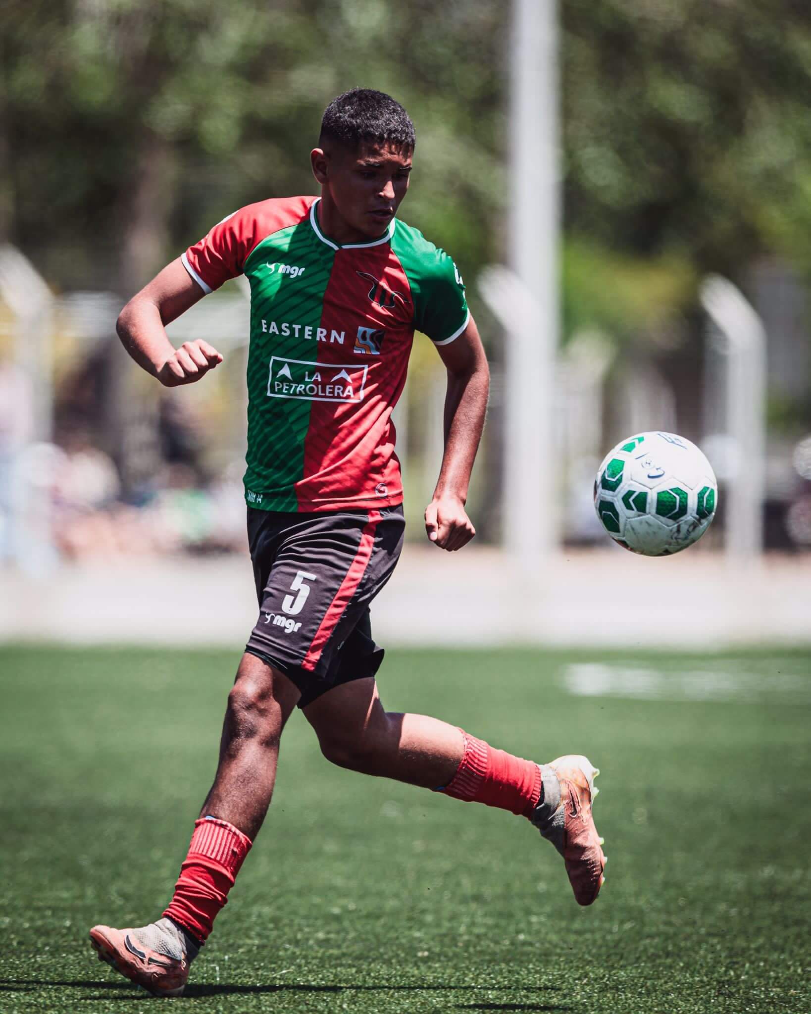 MAXIMO RODRIGUEZ